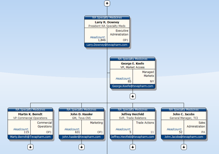 This is an organizational chart showing information for 5 employees reporting to Larry R. Downey (the President of NA Specialty Meds). The name title headcount job classification and email address for each employee is listed within their individual boxes. The direct reports to Downey are George E. Keefe (VP of Market Access) Martin K. Berndt (VP of Commercial Operations) John D. Hassler (GM of Teva CNS) Jeffrey Herzfield (SVP of Trade Relations) and John C. Jacobs (General Manager of TCI).