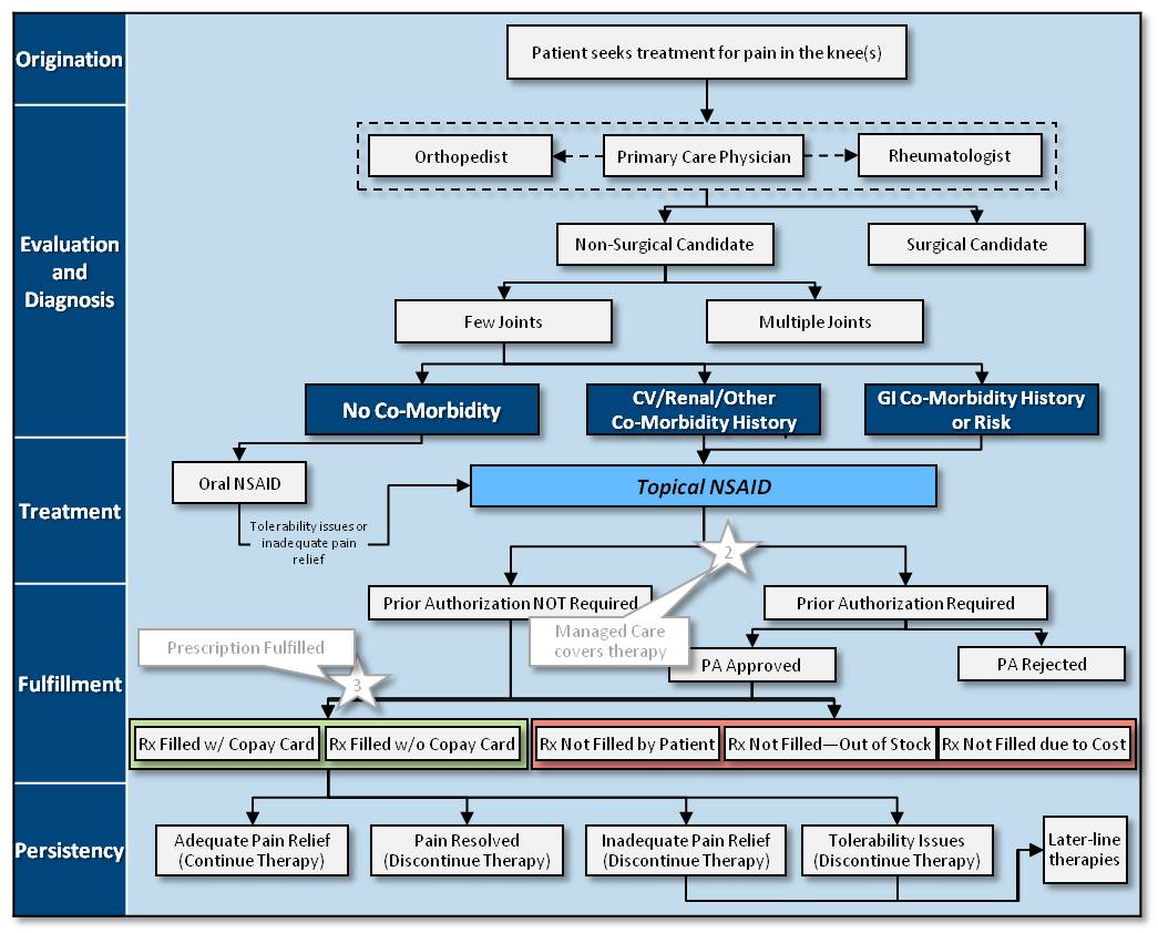 A flowchart showing the process when a "Patient seeks treatment for pain in the knee(s)". It is divided into 5 sections : Origination Evaluation and Diagnosis Treatment Fulfillment and Persistency. Each section has multiple elements sometimes in multiple rows connected to other elements by one or more arrows. Some elements are color-coded have annotations are starred etc. The background is light blue with graphic elements in dark blue blue green and red with text in black and white.